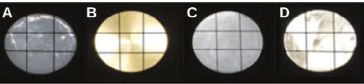 Fig. 1. Experimental specimens of each dental material. (A) Porcelain group, (B) Titanium group, (C) Zirconia group, (D) Gold group.