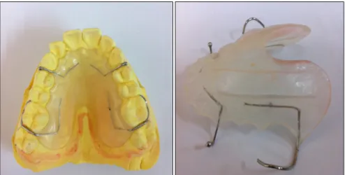 Fig. 1. Experimental appliance model.
