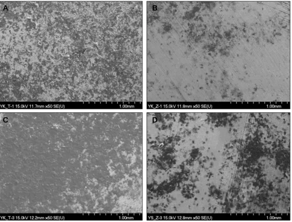 Fig. 2. Bacterial adhesion on titanium and zirconia Surfaces (magnification ×50). A: 24 hrs titanium surface, B: 24 hrs zirconia surface, C: 72 hrs titanium surface, D: 72 hrs zirconia surface.