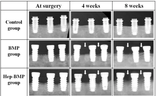 Fig. 3. Mean (± SD) Graph of vertical bone growth on peri-implant at 4 weeks and 8 weeks