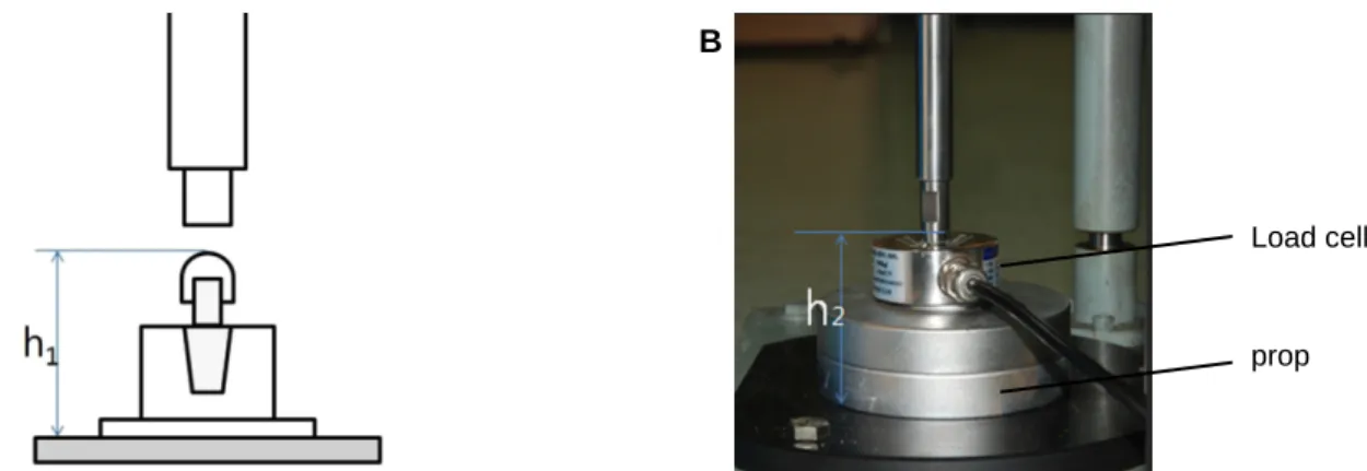 Fig. 4. Setting the applied load with a load cell. A: Height from metal cap to base of implant holder (h 1 ) was measured for each implant-abutment assembly, B: The prop was adjusted for the load cell to be the same height (h 1 = h 2 ).