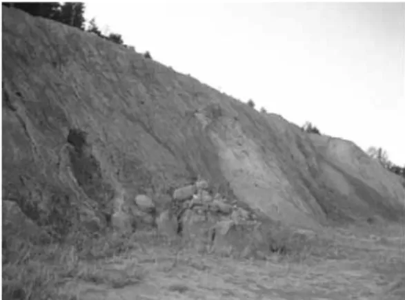 Fig. 2. Typical slope developed in granitic gneiss (Site B).