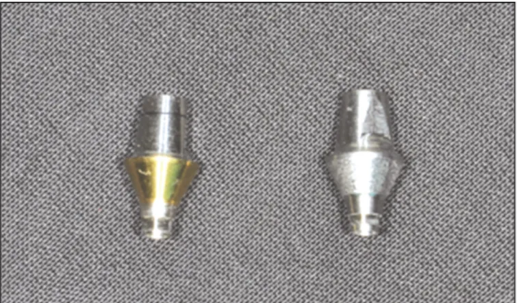 Fig. 2. Titanium crown (Raphabio Co., Seoul, Korea) with abutment screw hole and loading indentation.