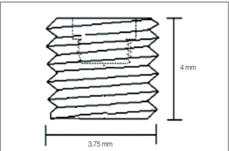 Fig. 1. Schematic diagram of experimental implant.