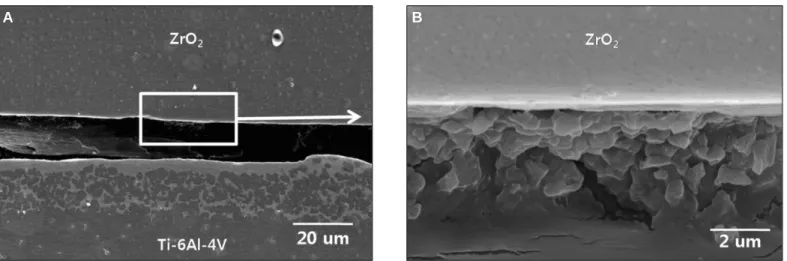 Fig. 9. SEM Images of (A) defect in ZrO 2 /filler metal and (B) enlarged SEM Image at 700℃.