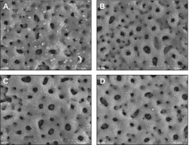 Fig. 2. MTT assay measured as cell proliferation. The result shows that cell pro- pro-liferation is increased by time and after 7 day of cell culture, there is a significant difference (*P<.05; the graph bar represents mean ± SE)