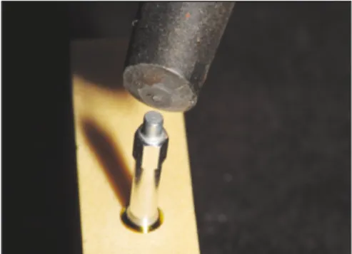 Table 2. Implant used in this experiment (n = 60 implant)