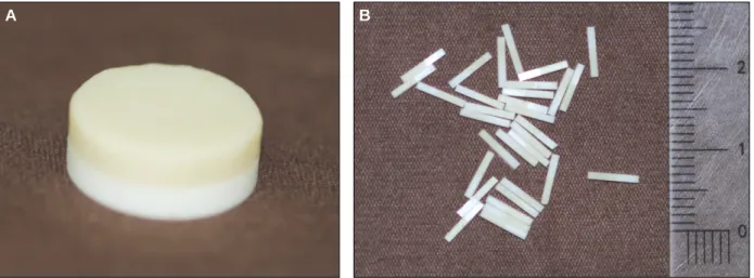 Fig. 1. Veneered zirconia disc (A) was cut into microbars (B) for conducting microtensile bond strength test.