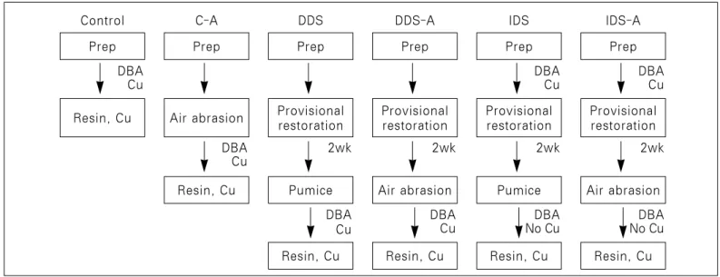 Fig. 1. Flow chart of procedures of each group.