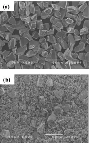 Fig . 2 SEM microgr aph of carbide particles : (a) SiC and (b ) T iC.
