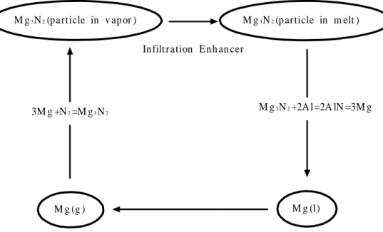 Fig . 3 Infiltr ation m ech anism proposed by A gh aj anian et al.