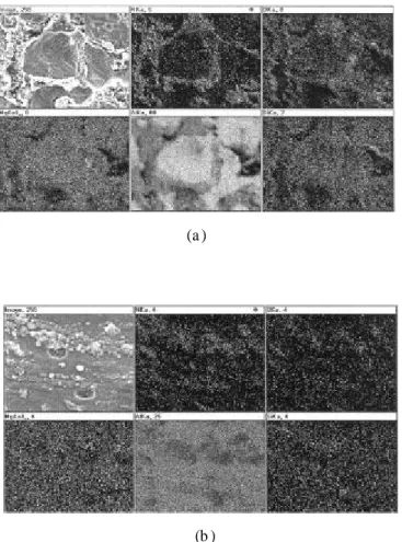 Fig . 5 Secondary electron im ag es and elem ent al dot - m apping im ages ob serv ed by EDS at the polished surface in the contr ol alloy : (a) as - fabricat ed condition and (b ) ex tru ded condition .