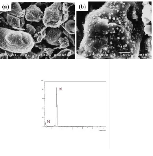 Fig . 9 SEM micr ogr aph s and EDS show ing r eaction pr oduct , AlN .