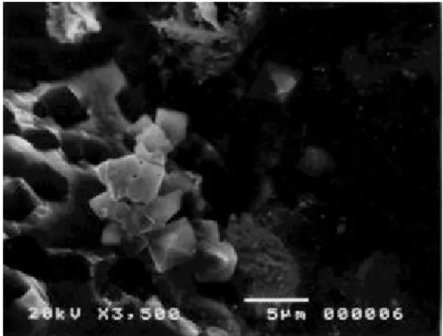 Fig . 12 SEM microgr aph s , EDS, and AE S spectr a show in g M gAl 2 O 4 after dis solving aw ay Al alloy m atrix in the control 7075