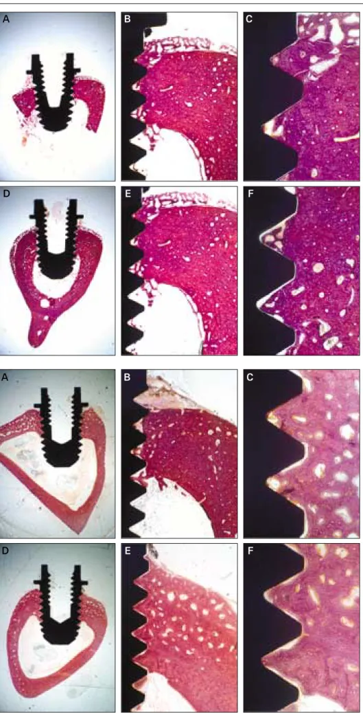 Fig. 2. Histologic views at three magnifications (× 10,