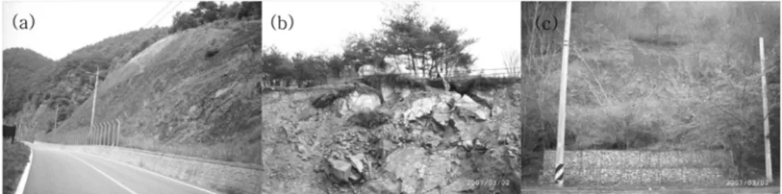 Fig. 1. Most representative pictures of the study area. (a) MW-1 site : non-failure slope, (b) CJ-2 : failure slope, (c) CJ-3 : circular failure.