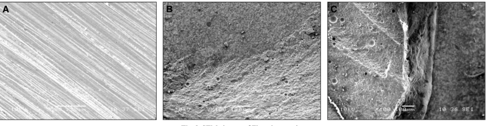 Fig. 9. SEM pictures of Zirconia ceramic (magnification ×1,000). 