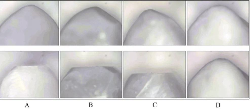 Table III. Mean values and SDs of surface roughness of restorative speci- speci-mens before and after wear tests (㎛)