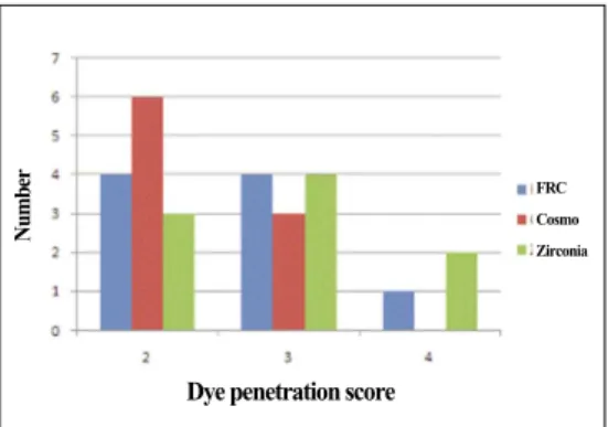 Fig. 2. Microleakage scores.