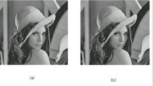 그림 4.1 Lena 영상에 대한 원 영상과 워터마킹된 영상 (a ) 원 영상 (b ) 워터마킹된 영상 F ig . 4 .1 Origin al an d W at er m ark ed im ag e for Len a .
