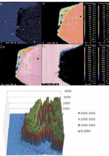 Fig. 1. Example of EPMA mapping result. I: implant, B: bone (K: upper left, P: upper right, Ca: lower left, Ti: lower right)