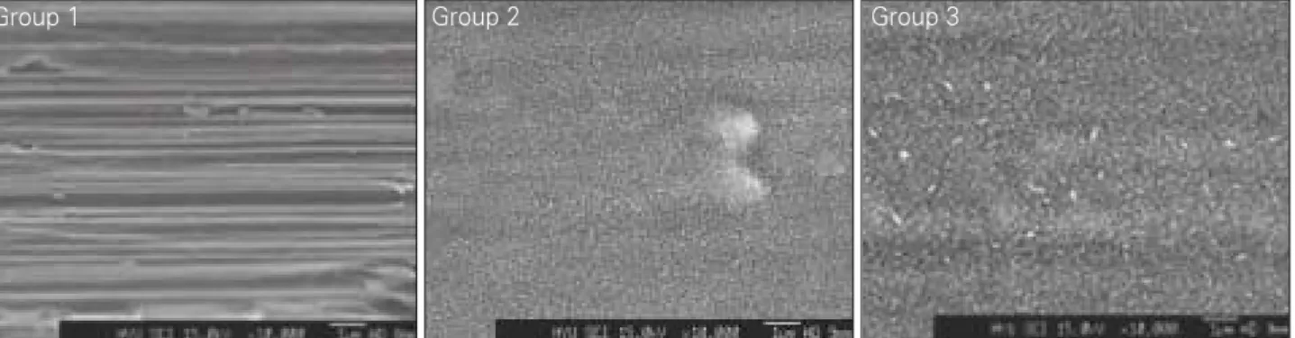 Fig. 4. FESEM (Field Emition Scanning Electron Microscope) findings of implant surface