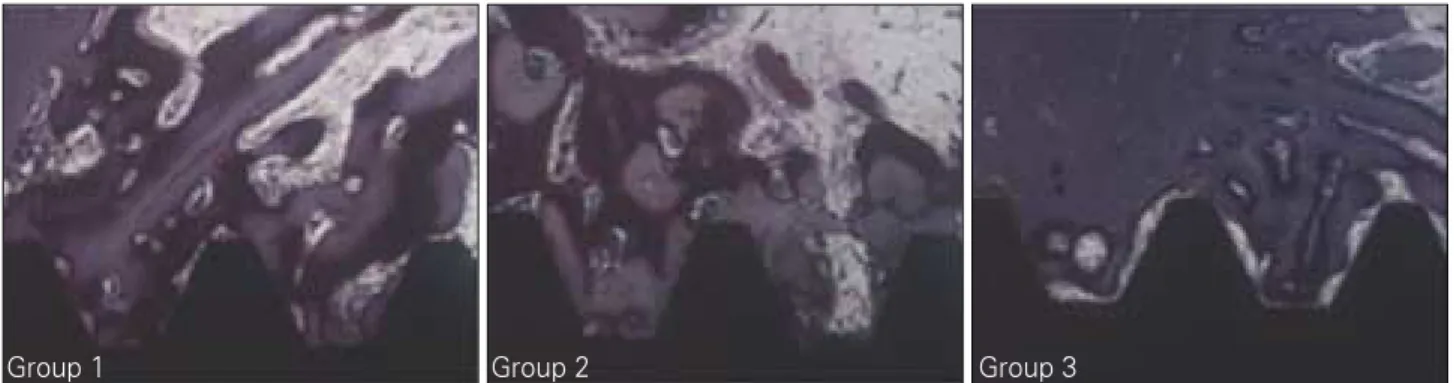 Fig. 6. BIC (Bone to Implant Contact) and BA (Bone Area) measuring at 2 weeks.