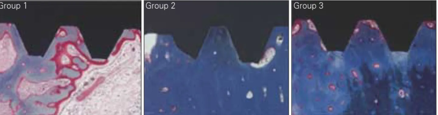 Fig. 9. BIC (Bone to Implant Contact) and BA (Bone Area) measuring at 8 weeks.