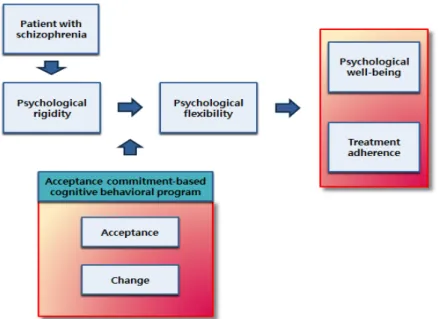 Figure 1. Conceptual framework of this study.  ‘콜라와 사이다 선택하기’ 활동과 ‘스노보드 타기’ 은유로 현재 를 수용하고 기꺼이 경험하는 것은 매 순간 나의 선택과 행동이 라는 것을 깨닫도록 하였다