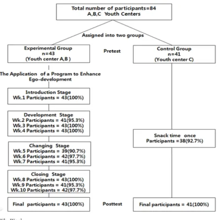 Figure 1. The application process of a program to enhance ego-development.