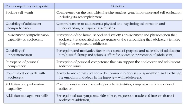 Figure 1. Expert competency model.