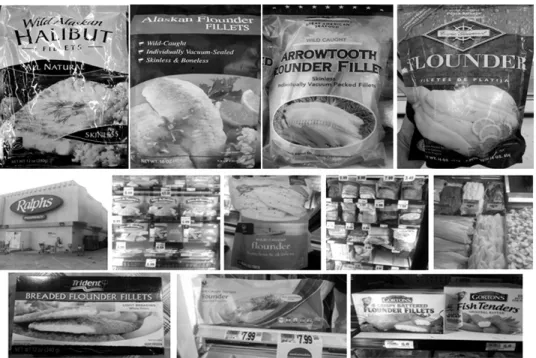 Fig. 2. The form of processed flounder in the US.