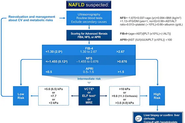 Fig. 1. Algorithm for non-alcoholic fatty liver disease (NAFLD) evaluation. Adapted from the article of Lee et al