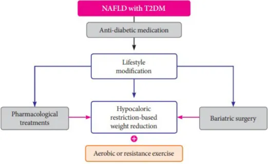 Fig. 2. Suggested algorithm for the management of patients with non-alcoholic fatty liver disease (NAFLD) and type 2  diabetes mellitus (T2DM)