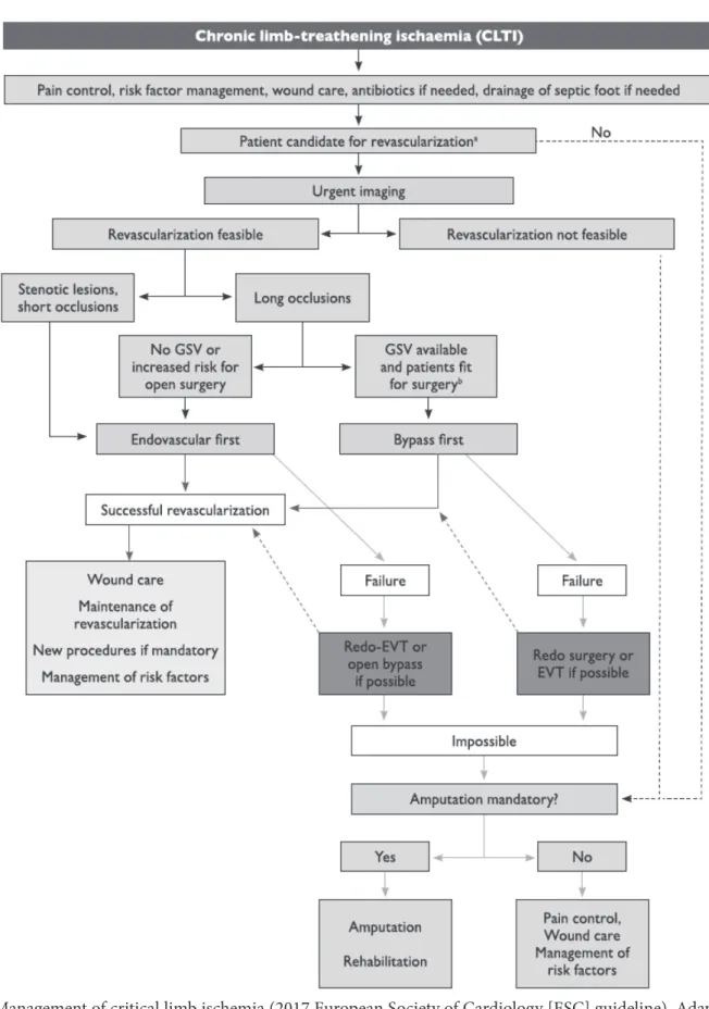 Fig. 2. Management of critical limb ischemia (2017 European Society of Cardiology [ESC] guideline)