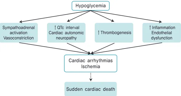 Fig. 1. Suggested Mechanisms of Hypoglycemia-induced Cardiovascular Diseases. Revised from the article of  Moheet and Seaquist (Curr Atheroscler Rep 2013;15:351) [8] with original copyright holder’s permission