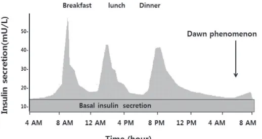 Fig. 1. Physiologic insulin secretion.
