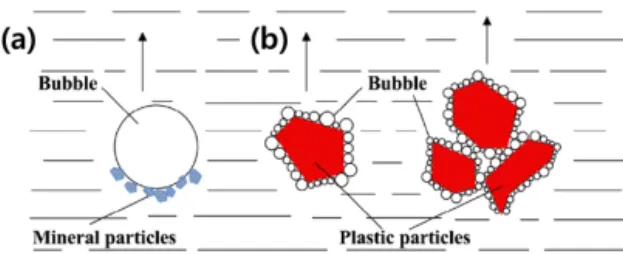 Fig. 1. Bubble-particle aggregates in (a) ores flotation and  (b) plastics flotation 18) .