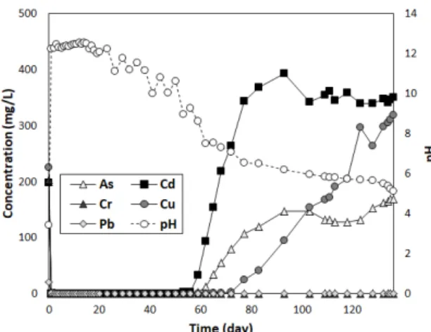 Table 3. Chemical composition of bottom ash samples after column test (Unit : Wt%)
