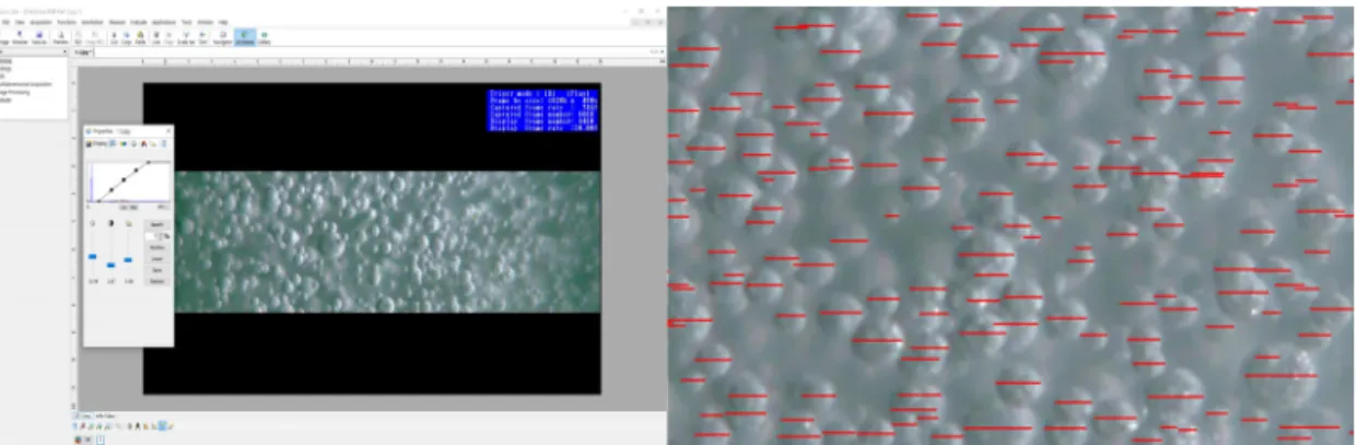 Fig. 3. Image analysis system of bubble size using ZEISS program.