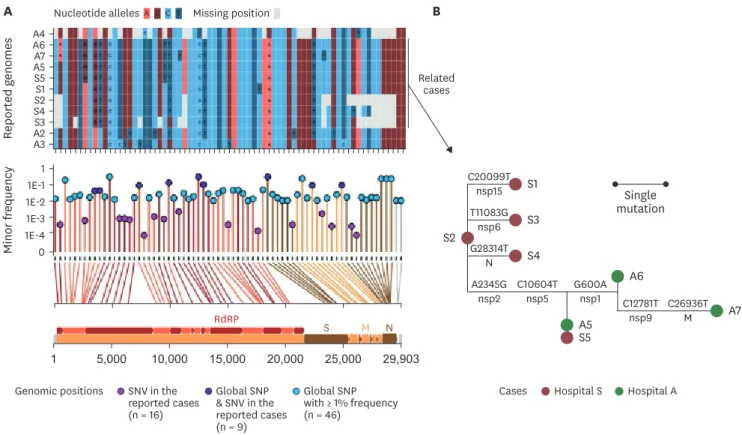 Table 2. Quality parameters and typing results of SARS-CoV-2 genome sequences