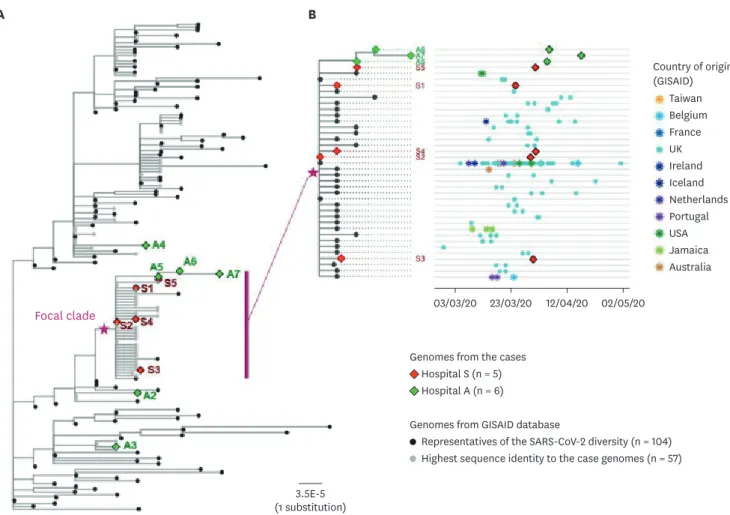 Fig. 3. Phylogenetic analysis of the sequenced SARS-CoV-2 genomes with the global reference genomes