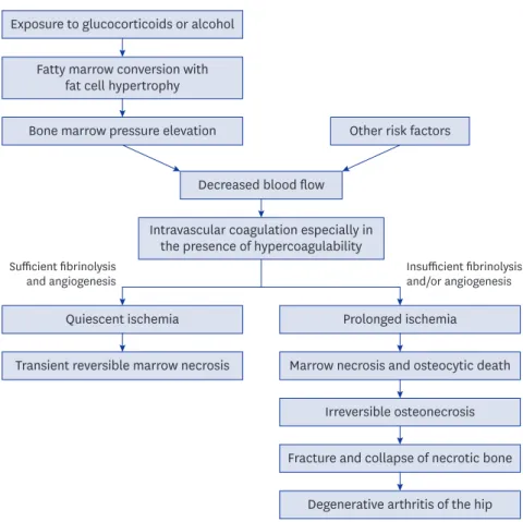 Fig. 1. Pathogenesis of non-traumatic osteonecrosis and transient marrow necrosis.