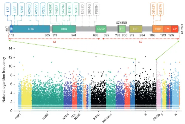 Fig. 1. The distribution of genome-wide mutations on SARS-CoV-2 and the key mutations in S protein