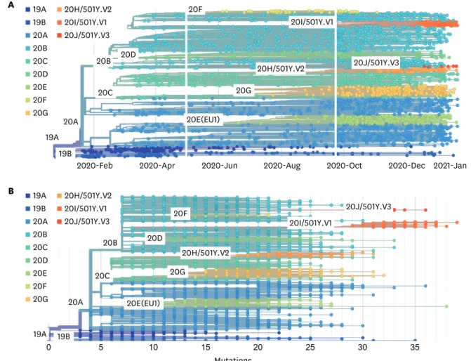 Fig. 2. The phylogeny and mutations of SARS-CoV-2 viruses. This phylogeny shows evolutionary relationships of SARS-CoV-2 viruses from the ongoing COVID-19  pandemic (A)