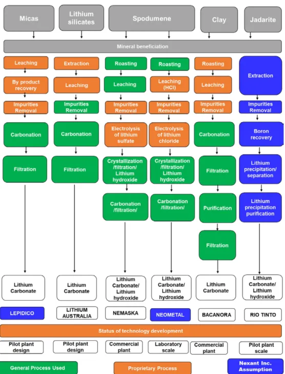 Fig. 6. Emerging lithium extraction technologies from various mineral resources, adapted from reference 49.