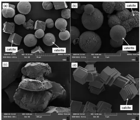 Fig. 6. SEM analysis of the solids obtained by using three chelating reagents and water as solvents: (a) 0.1 M fumarate, (b) 0.1 M IDA, (c) 0.1 M EDTA, and (d) water.