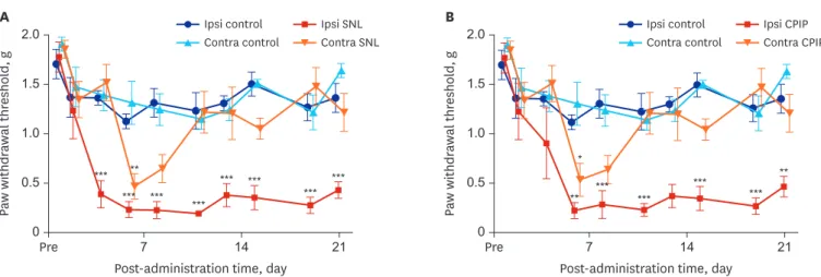 Fig. 1. Time course of mechanical allodynia in the ipsilateral and contralateral hind paw of SNL and control mice, CPIP and control mice as shown via von Frey  testing