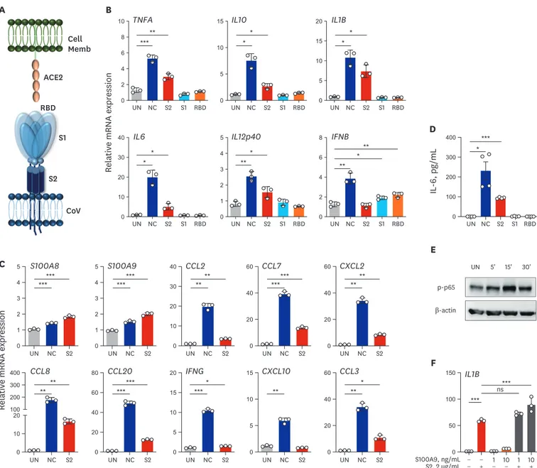 Fig. 4. Recombinant NC and S2 ECD proteins of SARS-CoV2 robustly induce the expression of pro-inflammatory cytokines/chemokines in human primary PBMCs