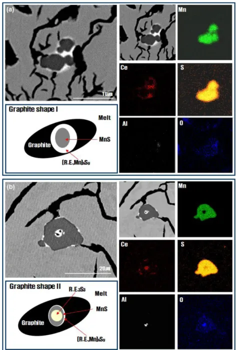 Fig. 6. Types of graphite formation by addition of rare earth element. (a) No. 2, (b) No